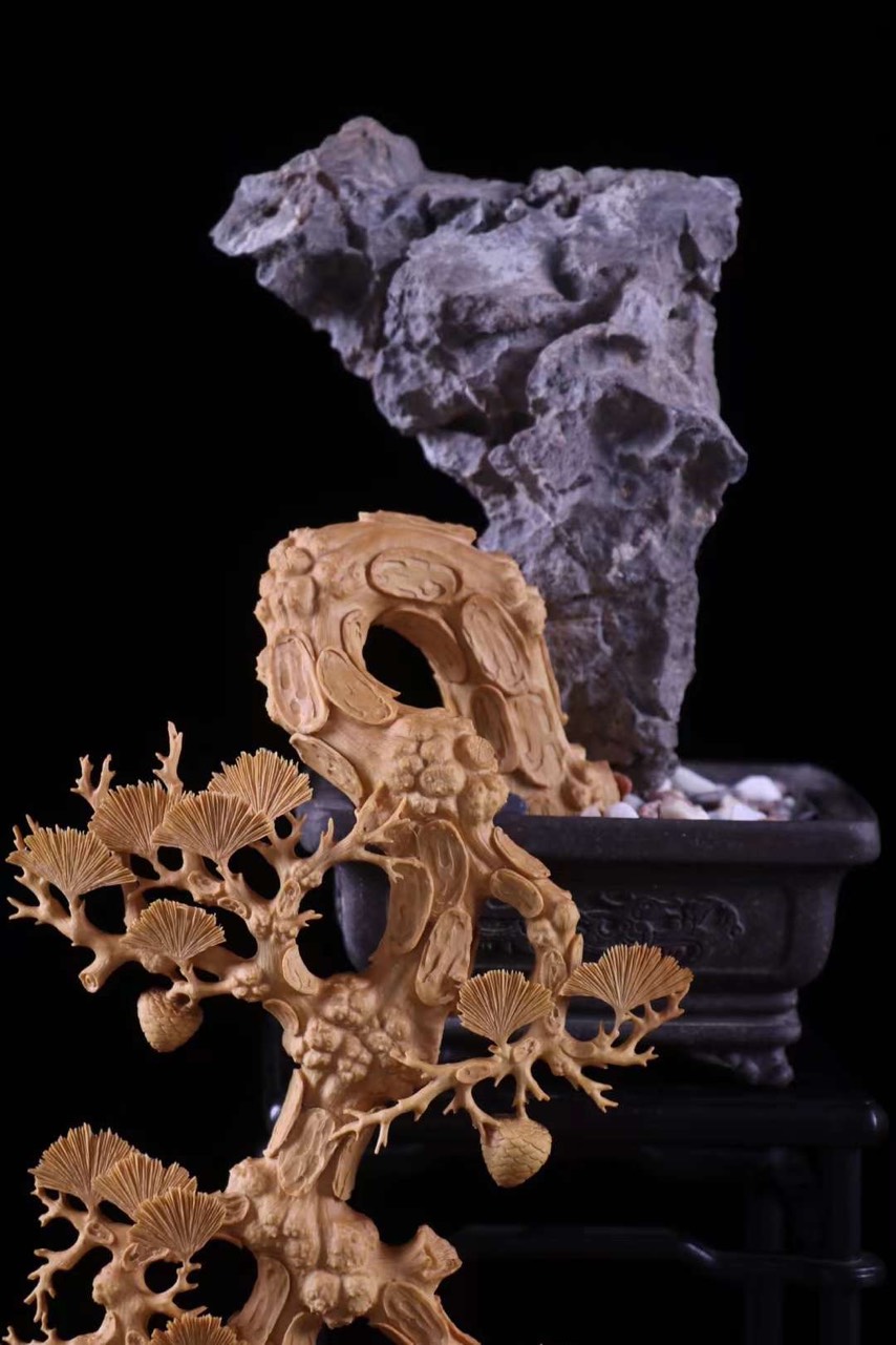 Cây Bonsai Tùng Hạc Diên Niên Gỗ Hoàng Dương